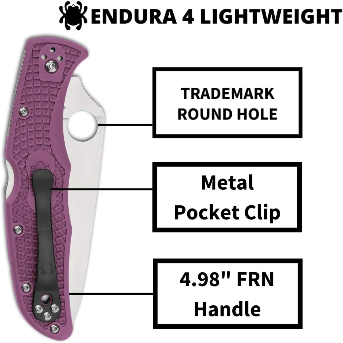 Spyderco Endura 4 Lightweight Signature Knife with 3.80" VG-10 Steel Blade and Purple FRN Handle - PlainEdge - C10FPPR