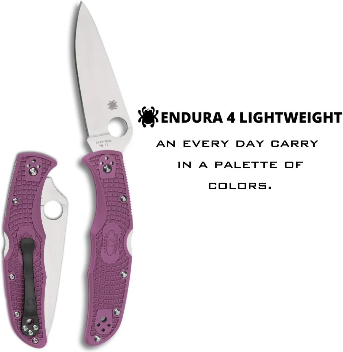 Spyderco Endura 4 Lightweight Signature Knife with 3.80" VG-10 Steel Blade and Purple FRN Handle - PlainEdge - C10FPPR