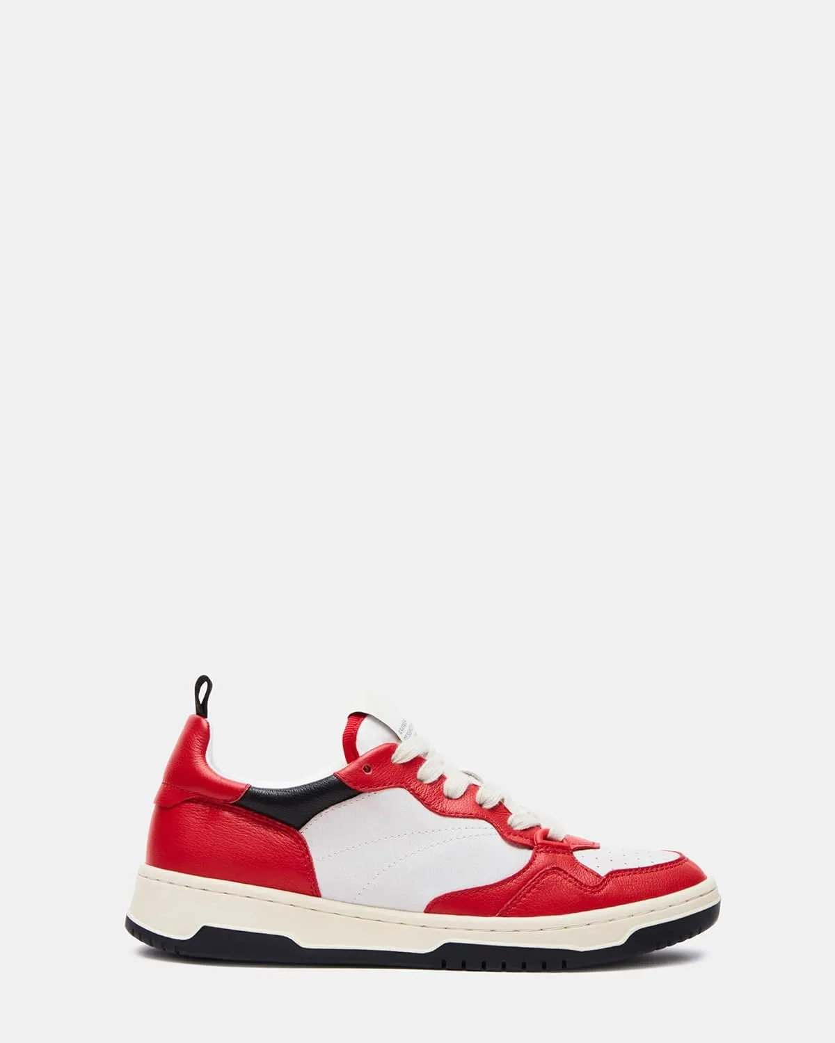 Steve Madden Women's Everlie Sneaker
