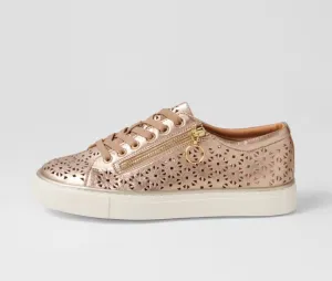 ZIERA Pandoe  XF Champagne