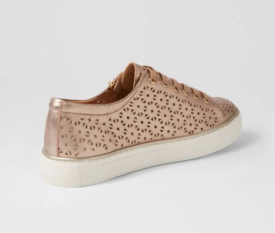 ZIERA Pandoe  XF Champagne