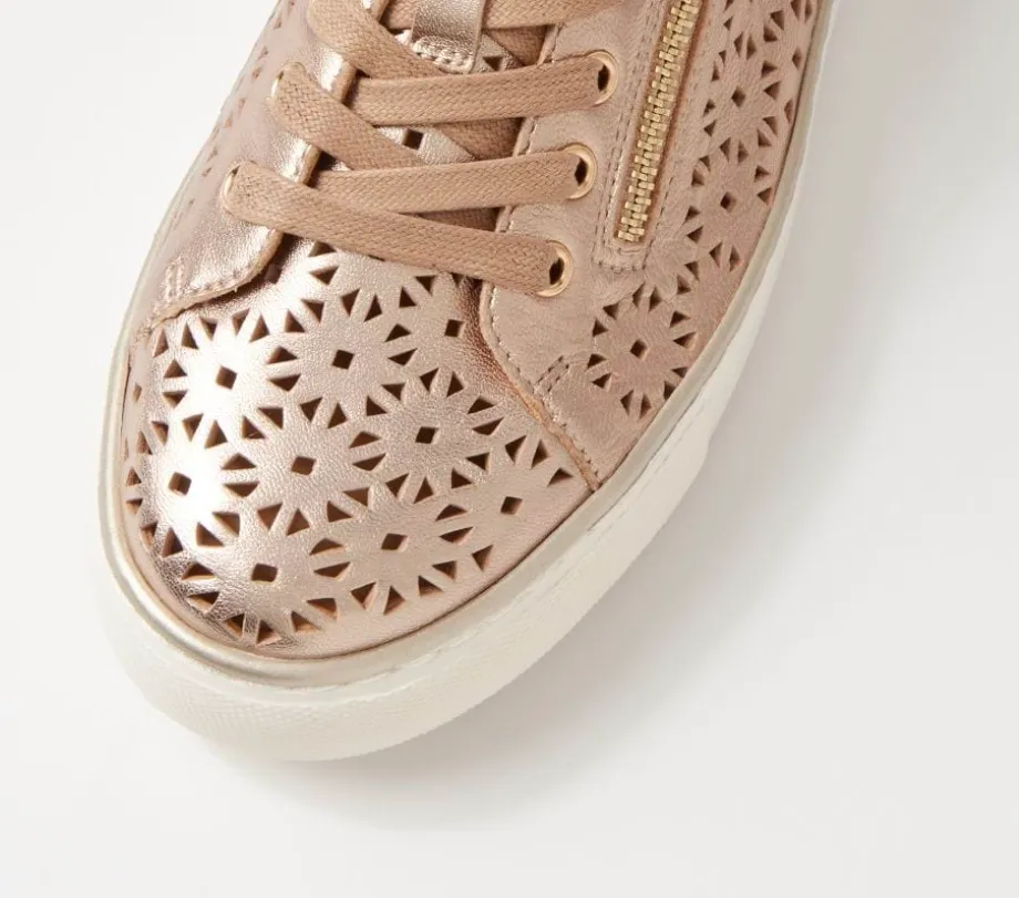 ZIERA Pandoe  XF Champagne