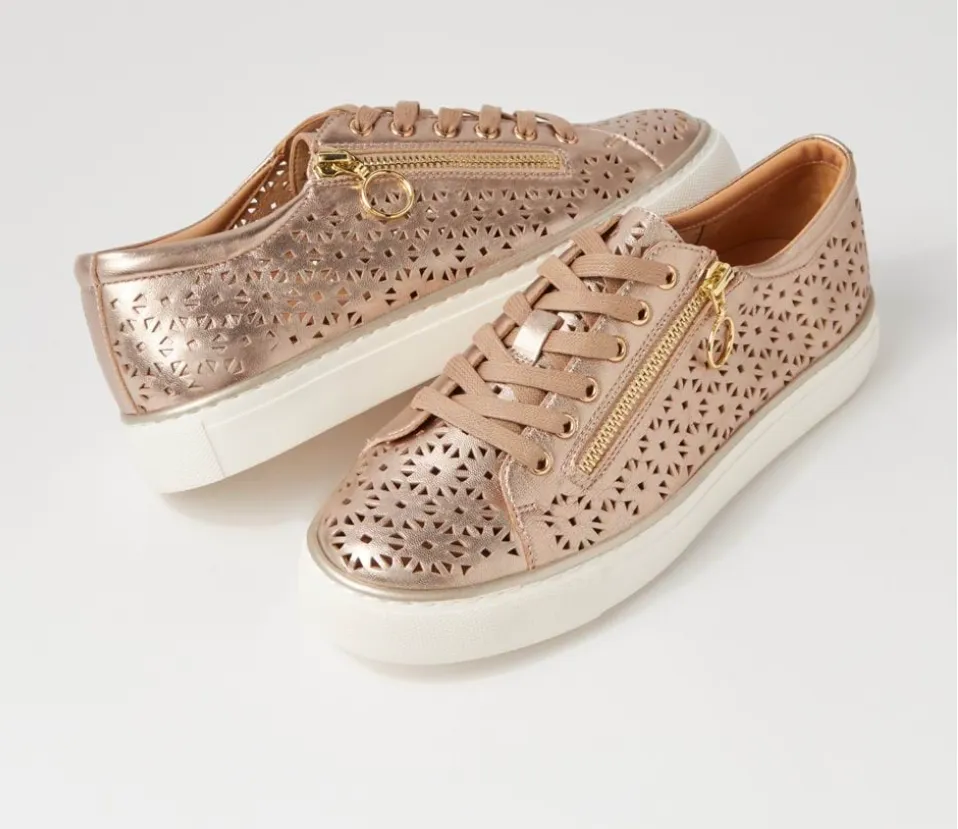 ZIERA Pandoe  XF Champagne