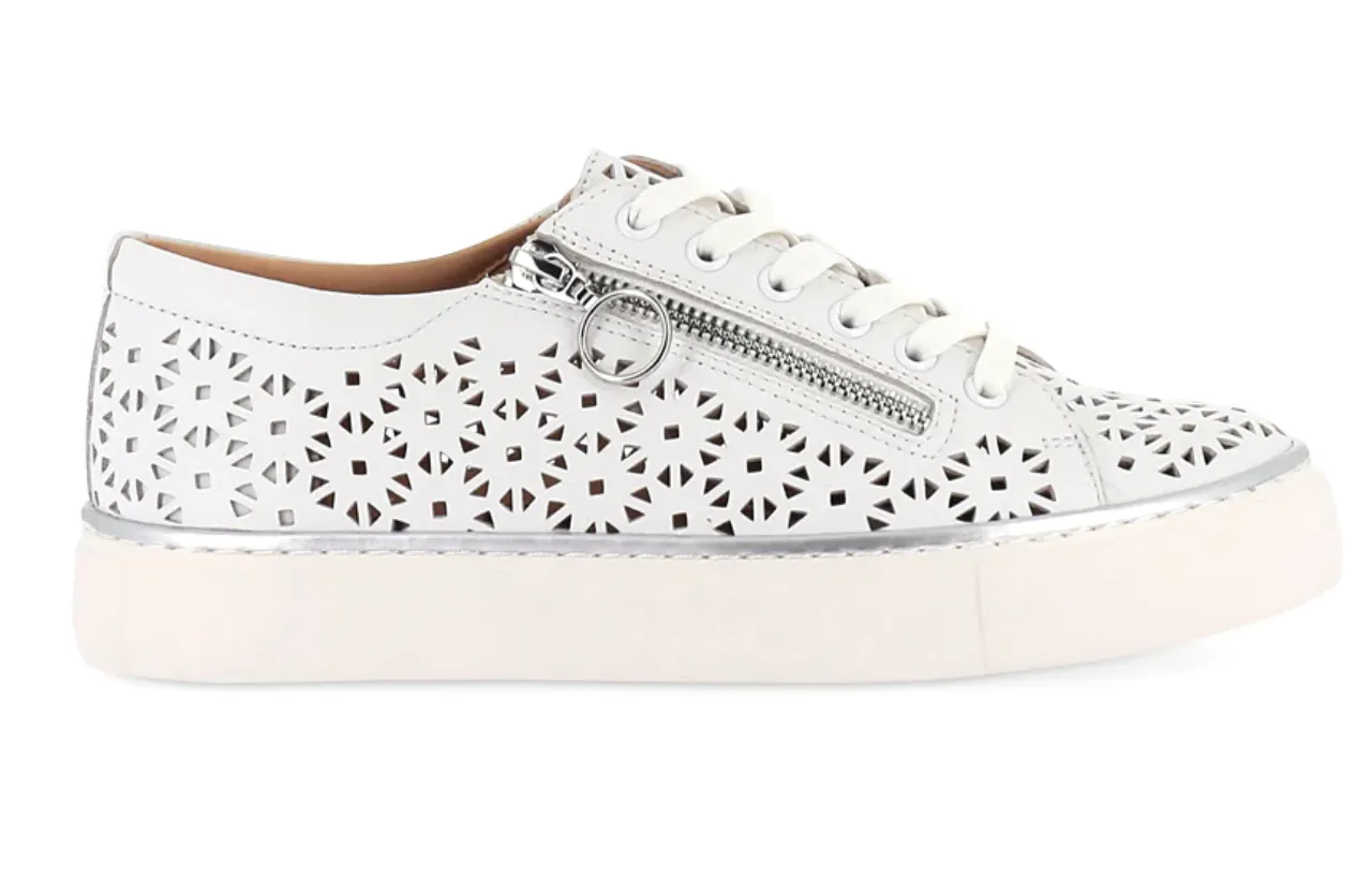 ZIERA Pandoe  XF White